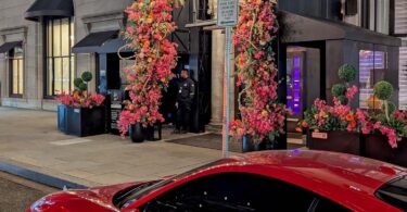 Hotel Washington, DC: Where Cherry Blossom Season Lives Up to the Legend