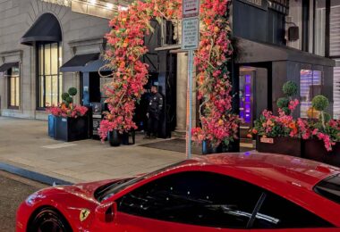 Hotel Washington, DC: Where Cherry Blossom Season Lives Up to the Legend